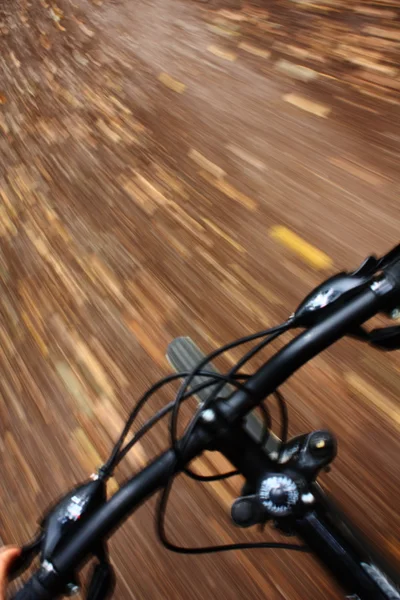 Mountainbike fahren im herbstlichen Wald — Stockfoto