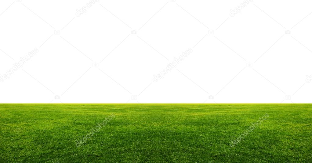 Image of green grass field with white copyspace above