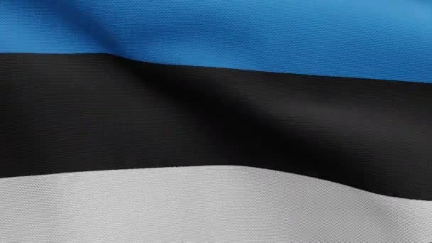 Bandeira Estoniana Acenando Vento Fechar Bandeira Estónia Soprando Seda Macia — Vídeo de Stock