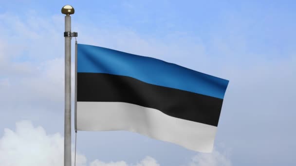 Bandera Estonia Ondeando Viento Con Cielo Azul Nubes Primer Plano — Vídeos de Stock