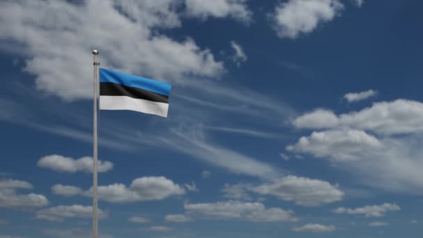 爱沙尼亚国旗迎风飘扬 蓝天蓝云飘扬 靠近爱沙尼亚的横幅飘扬 柔滑柔滑的丝绸 布匹织物质感标志背景 — 图库视频影像