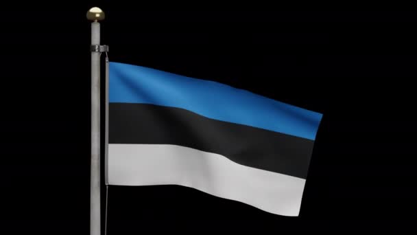3Dイラスト風に揺れるアルファエストニアの旗 エストニアのバナーを吹いて 柔らかく滑らかなシルクを閉じます 布生地の質感が背景を刻印 国民の日と国の行事の概念 — ストック動画