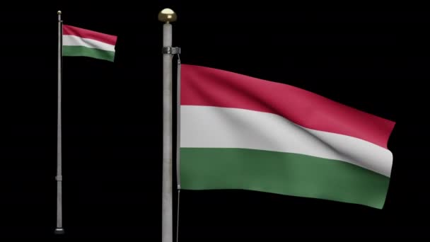 Illustration Alpha Hungarian Flag Waving Wind Hungary Banner Blowing Soft — Stock Video