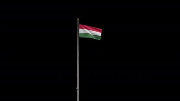 Illüstrasyon Rüzgarda Dalgalanan Alfa Macar Bayrağı Macaristan Bayrağını Yakın Çekin — Stok video