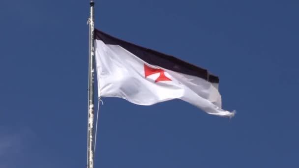 Zblízka Vlajka Prapor Rytíři Templáři Zámku Středověké Jerez Los Caballeros — Stock video