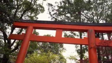 Kyoto 'lu Maruyama' nın güzel kırmızı tori kapısı. Japon Torii geçitli patika parktan Shinto tapınağına giriş yapıyor. Japonya 'da geleneksel mimarisi olan ünlü turist kara sığınağı.
