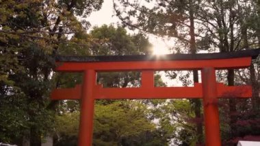 Kyoto 'lu Maruyama' nın güzel kırmızı tori kapısı. Japon Torii geçitli patika parktan Shinto tapınağına giriş yapıyor. Japonya 'da geleneksel mimarisi olan ünlü turist kara sığınağı.