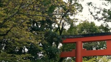 Kyoto 'lu Maruyama' nın güzel kırmızı tori kapısı. Japon Torii geçitli patika parktan Shinto tapınağına giriş yapıyor. Japonya 'da geleneksel mimarisi olan ünlü turist kara sığınağı.
