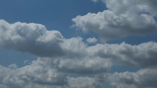 Timelapse Cumulus Clouds Blue Sky Sunny Day Summer Beautiful Cloudscape — Stock Video