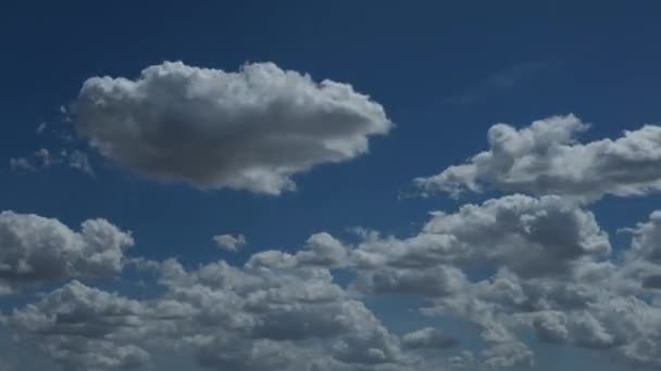 夏の晴れた日に青空と積雲のタイムラプス 自然の背景パノラマとして美しい雲の風景 白い雲が浮かぶ自然光の素晴らしい天気 — ストック動画