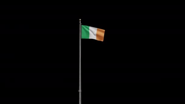 Ilustrasi Alpha Bendera Irlandia Melambai Pada Angin Tutup Panji Irlandia — Stok Video