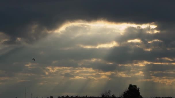 Plane Propeller Silhouette Flight Cloudy Sky Sunset Horizontal Stellar Rays — Stock Video