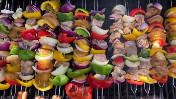 Szef Kuchni Gotowanie Pyszne Szaszłyki Grill Gotować Broszurę Grillowanym Mięsie — Wideo stockowe