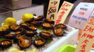 Ünlü altın yumurta kestanesi açık ve Kyoto balık pazarında buzda yemeye hazır. Pasifik Okyanusu 'ndan taze deniz ürünleri Japonya' nın popüler bir yemeğidir. Geleneksel Japon yemek sokağının en iyisi..