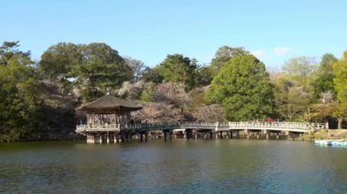 Japonya 'daki Sakura çiçekleri sırasında Nara Parkı' ndaki göletin yukarısındaki Ukimi-do salonunda. Sagi-ike gölünde yüzen altıgen tapınak