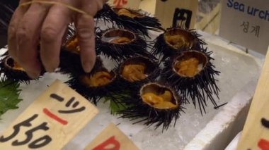 Yavaş hareket eden deniz kestaneleri taze sashimi taze ve Kyoto balık pazarında buzda yemeye hazır. Satılık nefis geleneksel Japon deniz ürünleri. Japon yiyecek seyahati ve market sokak atıştırmalıkları.