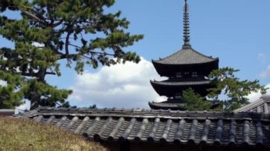 Nara 'daki Kofukuji Tapınağı' nın beş katlı mabedinin yavaş çekimleri. Japonya 'nın ikinci en uzun ahşap tapınağı. UNESCO tarafından belirlenen antik Nara 'nın ünlü tarihi eserleri
