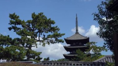 Nara 'daki beş katlı Kofukuji Tapınağı' nın manzarası. Japonya 'nın ikinci en uzun ahşap tapınağı. UNESCO tarafından belirlenen antik Nara 'nın ünlü tarihi eserleri