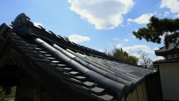 Дом Крыше Традиционном Саду Зелеными Деревьями Японии Пейзаж Японской Сельской — стоковое видео
