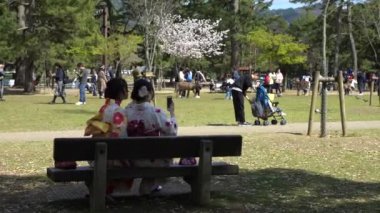 Nara, Japonya-15 Nisan 2019: Maiko geyşası Nara Parkı 'nda oturup selfie çekiyor. Güzel Asyalı kadın akıllı telefonuyla kendi portresini yapıyor. Turistler tatillerde Japonya 'yı ziyaret eder ve fotoğraf çekerler