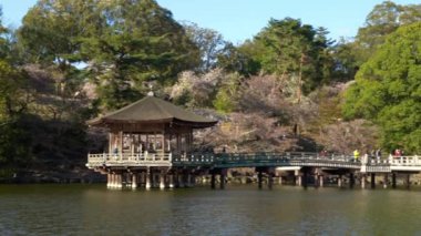 Nara, Japonya-15 Nisan 2019: Japonya 'daki Sakura çiçekleri sırasında Nara Parkı' ndaki göletin üzerindeki Ukimi-do salonu. Sagi-ike gölünde yüzen altıgen tapınak