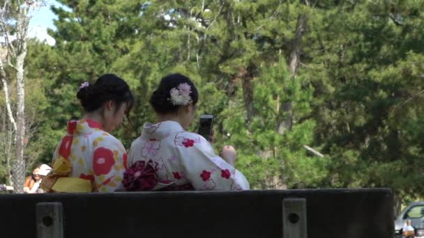 Nara Japan April 2019 Maiko Geisha Sitzt Zeitlupe Und Macht — Stockvideo