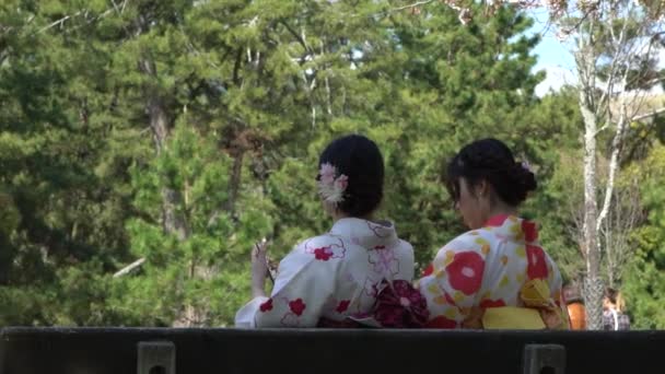 Nara Japão Abril 2019 Gueixa Maiko Câmera Lenta Sentada Banco — Vídeo de Stock