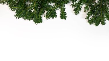 Beyaz arkaplanda izole edilmiş yeşil çam dalı çerçevesi ve metin için boşluk. Noel ağacı dalları ve dekorasyon afişi ve yeni yıl konseptinin en üst görüntüsü.