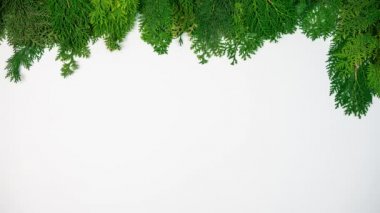 Hareket animasyonunu durdur, yeşil çam dalını Noel toplarıyla donat, parlak süslemeler, beyaz arka planda ışıklar ve metin için yer aç. Firavun ağacı dalları ve Xmas dekorasyon afişi Yeni Yıl