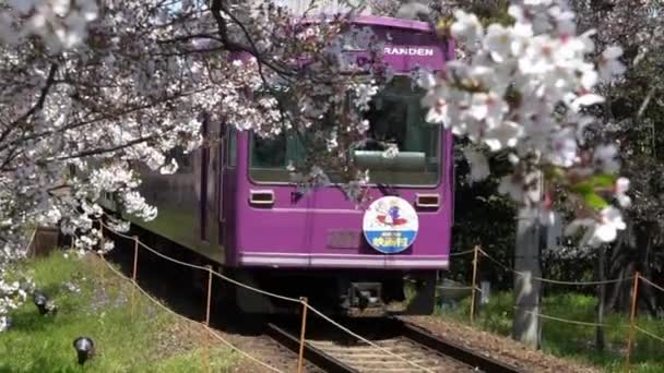 Kyoto Japonya Nisan 2019 Japon Yerel Treni Ilkbahar Mevsiminde Demiryolu — Stok video