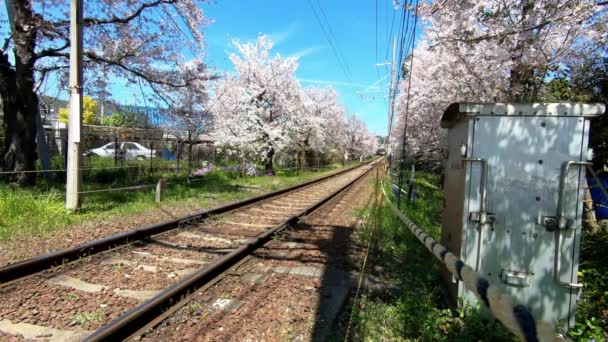 Kyoto Japon Avril 2019 Train Japonais Local Voyageant Sur Les — Video