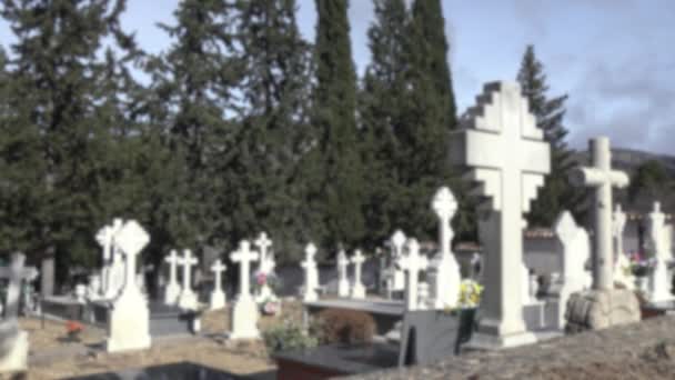 スペインの墓石 古い白い十字架とヒノキの木を持つ墓地での墓のぼやけた焦点を当てたビュー スペインの田舎の墓地 — ストック動画