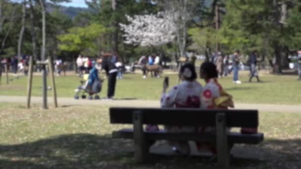 Vista Desfocada Borrada Gueixa Maiko Sentada Tirando Fotos Selfie Parque — Vídeo de Stock