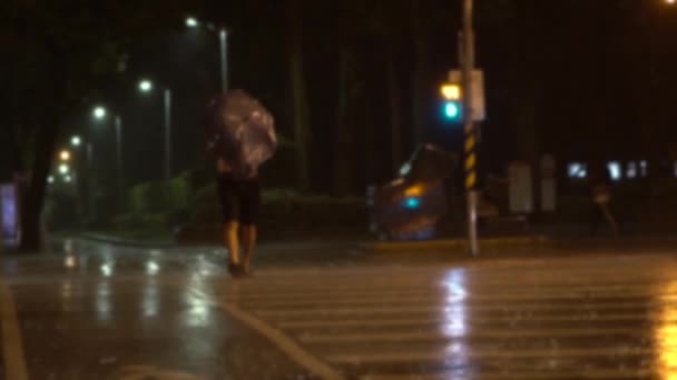 Zeitlupe Und Defokussierte Aufnahme Eines Fußgängers Mit Regenschirm Beim Überqueren — Stockvideo