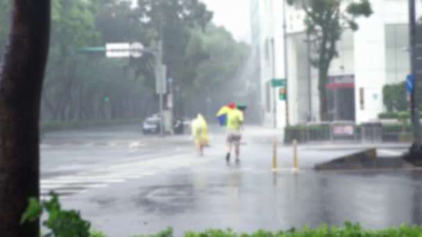 Blurred Defocused Extreme Wind Rain Super Typhoon Megi Asian People — Vídeo de stock