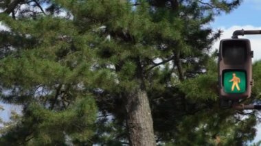 Şehir caddesinde yürüyen yayalar için trafik ışıklarının yavaşlaması yeşilde. Japonca işaret Nara 'da karşıdan karşıya geçmek için. Japonya 'da yürüyen insanların sembolü