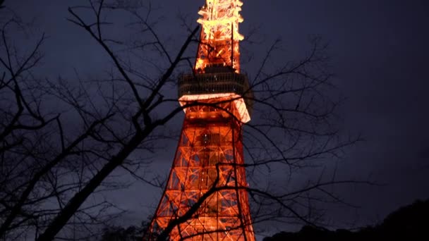 Ιαπωνία Σύγχρονο Αστικό Ορίζοντα Νύχτα Θέα Την Όμορφη Τόκιο Πύργο — Αρχείο Βίντεο