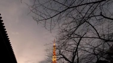Ağaçların arkasındaki Tokyo kulesi, bir sokak şehrinin manzarası. Şehir manzarası. Asya konseptinde seyahat etmenin en ünlü tarihi ve turistik yerlerinden biri..