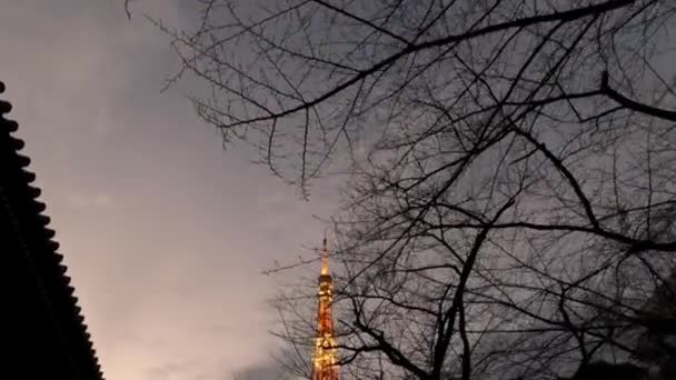 Токийская Башня Деревьями Вид Улицы Города Городской Пейзаж Один Самых — стоковое видео