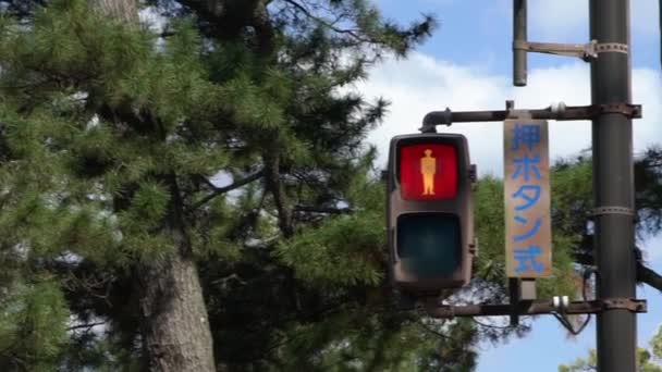 Slowmotion Κόκκινο Χρώμα Φως Φωτίζεται Από Ασιατική Διάβαση Πεζών Υπογράψει — Αρχείο Βίντεο