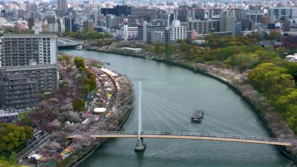 오사카 2019 건물에서 도시와 아파트들이 풍경을 새들의 눈으로 수있다 스카이라인 — 비디오