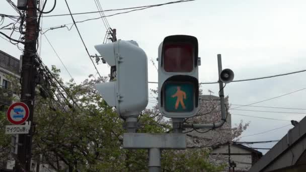 Asiatiska Fotgängare Övergångsskylt Kyoto Stadstrafik Förändring Från Grön Till Röd — Stockvideo