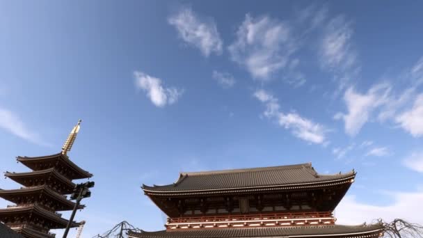 Токио Япония Февраля 2020 Толпа Туристов Идущих Перед Знаменитыми Воротами — стоковое видео