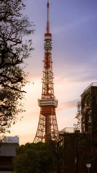 Alacakaranlık Gününde Tokyo Kulesi Japon Şehir Caddesi Gün Batımında Japon — Stok fotoğraf