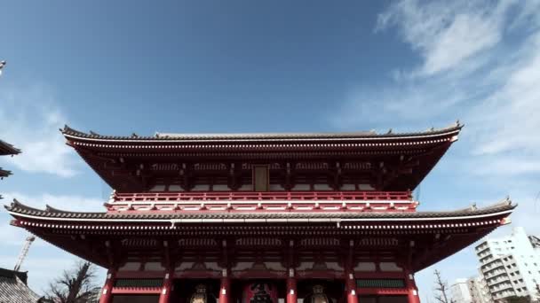 Tokyo Japan Februari 2020 Massor Turister Som Går Framför Den — Stockvideo