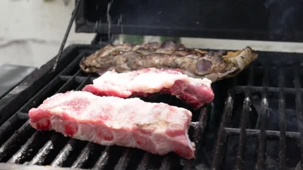 Chef Put Salt Cooking Tasty Ribs Pork Barbecue Grill Close — Videoclip de stoc