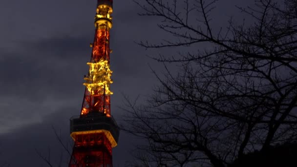 Japans Moderne Stadtsilhouette Bei Nacht Mit Blick Auf Den Wunderschönen — Stockvideo