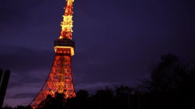 Japonya modern kentsel ufuk çizgisi geceleri ön taraftaki güzel Tokyo kulesine bakıyor. Şehir manzarası üzerinde hava manzarası. İş finans ve ekonomi kavramı