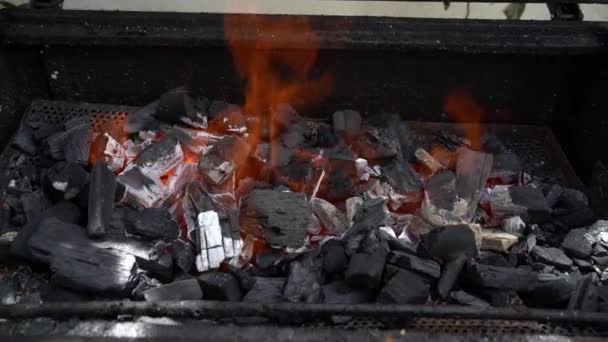 在度假期间 用散落的火把烤好的花园烤肉烧了 炽热的黑色炭疽背景 篝火概念下的燃煤烤炉 — 图库视频影像