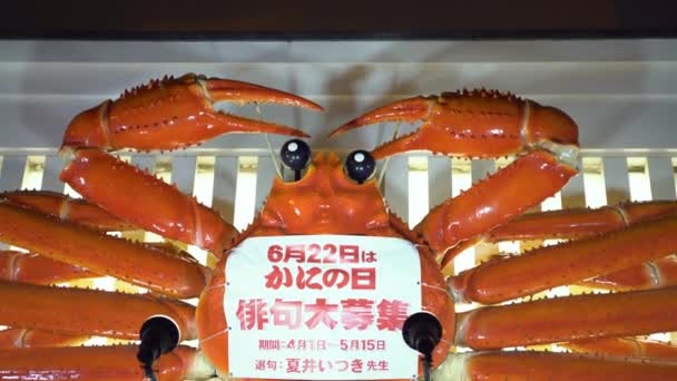 Osaka Japan April 2019 Een Enorme Krab Boven Een Restaurant — Stockvideo